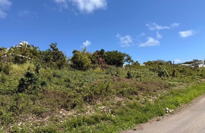 Vente Terrain 97180