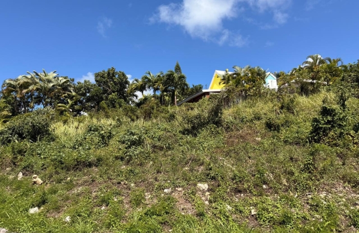 Vente Terrain 530m&sup2; Sainte Anne