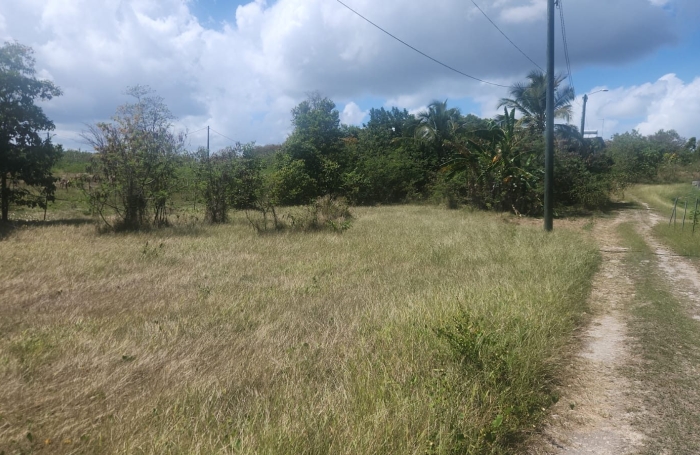Vente Terrain 97180