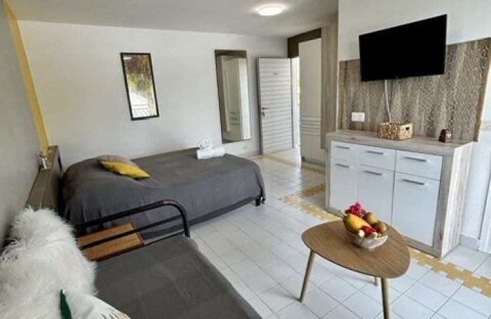 Vente Appartement 97118