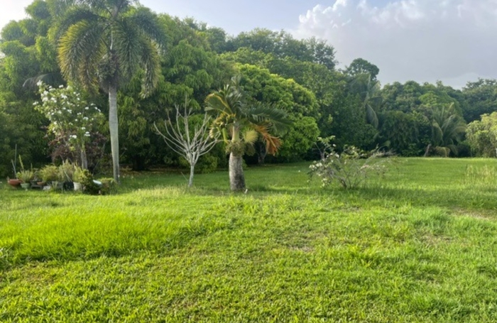 Vente Maison 58m&sup2; 3 pièces Goyave
