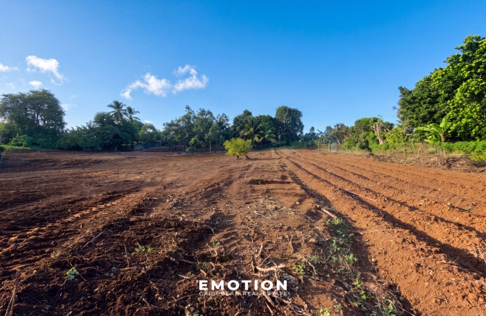Terrain + construction T4   Projet neuf   365 000 &euro;