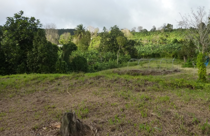 GOURBEYRE Terrain de 1200m2