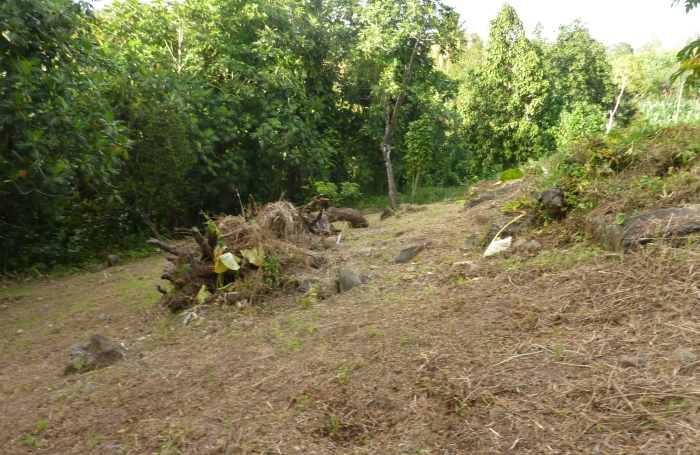 GOURBEYRE Terrain de 1200m2