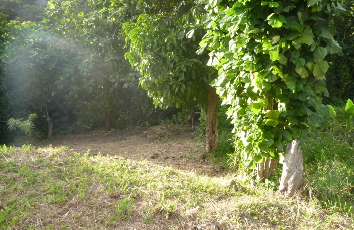 GOURBEYRE Terrain de 1200m2