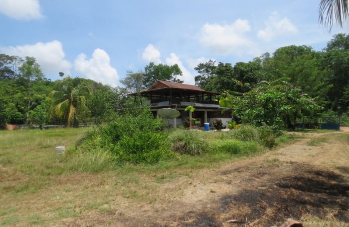 Vente Terrain 5000m&sup2; Kourou