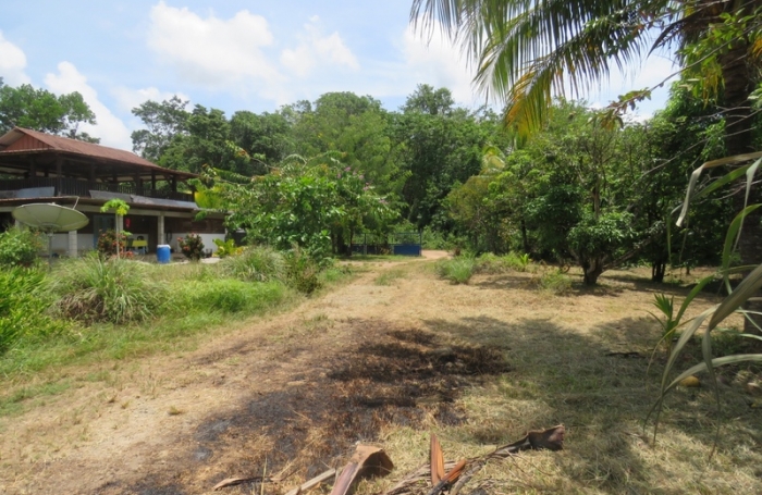 Vente Terrain 5000m&sup2; Kourou