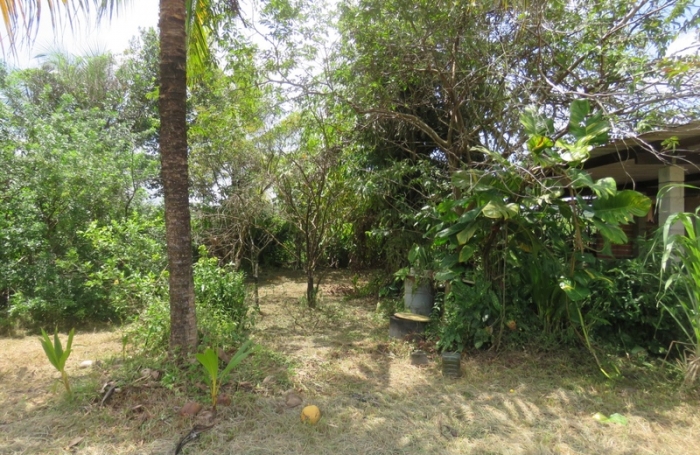 Vente Terrain 5000m&sup2; Kourou