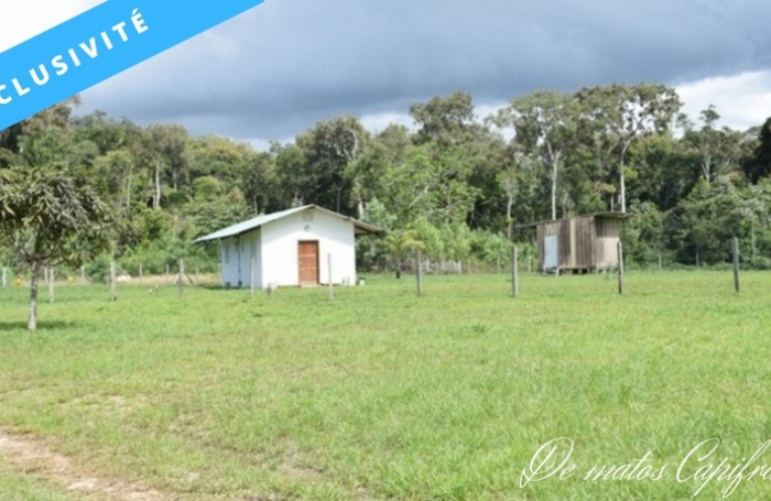 Vente Maison 80m&sup2; 4 pi&#232;ces Kourou