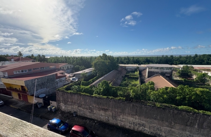 Vente Immeuble 510m&sup2; 18 pi&#232;ces Cayenne