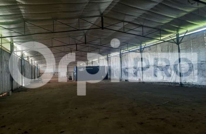 Entrepôt avec terrain !