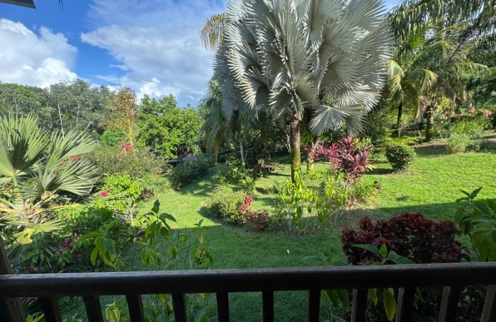 Vente Terrain 10113m&sup2; Roura