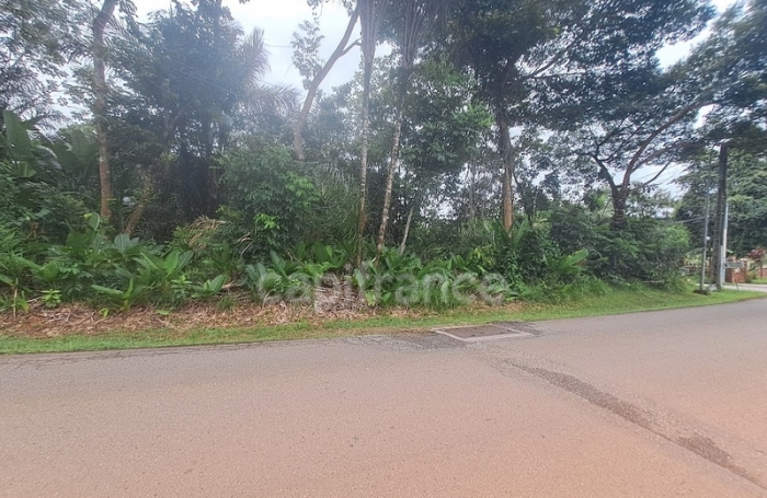 Vente Terrain 3444m&sup2; Matoury