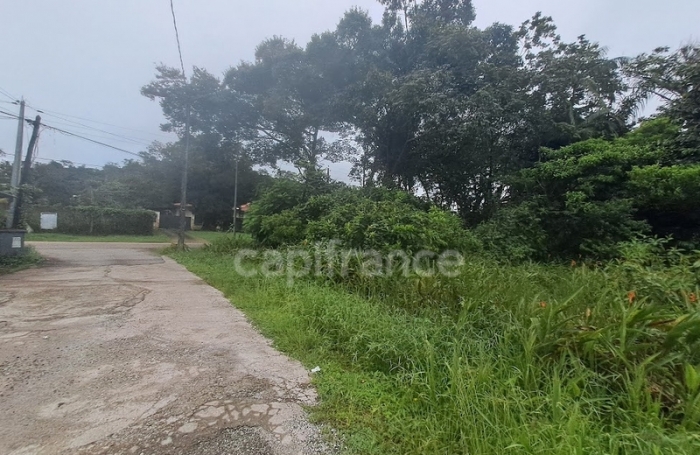 Vente Terrain 3444m&sup2; Matoury