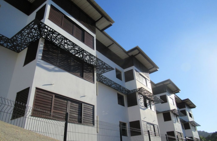 Location Appartement 97354