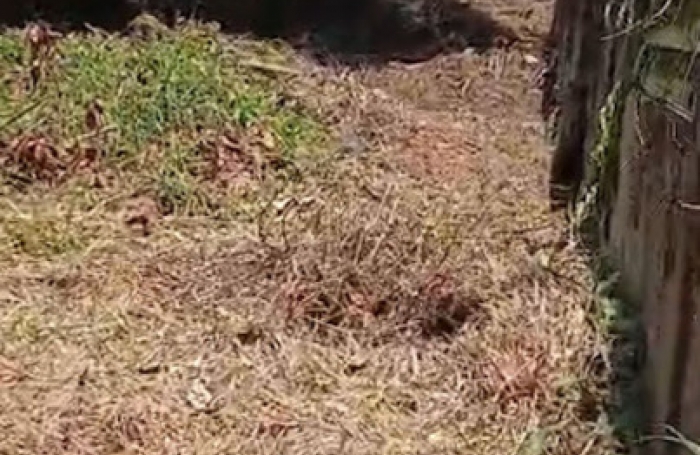 Vente Maison 75m&sup2; 4 pi&#232;ces Remire Montjoli