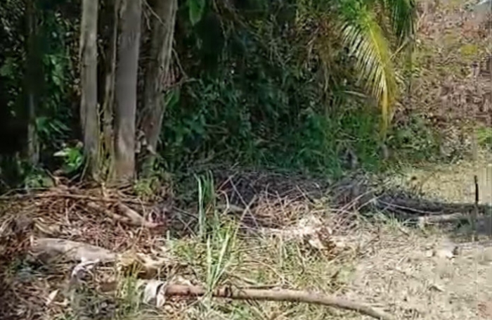 Vente Maison 75m&sup2; 4 pi&#232;ces Remire Montjoli