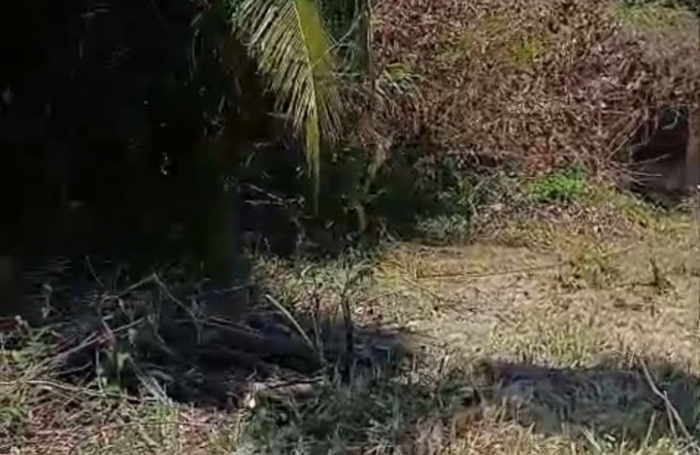 Vente Maison 75m&sup2; 4 pi&#232;ces Remire Montjoli