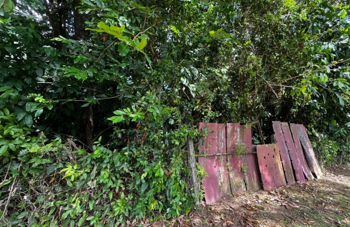 Vente Terrain 1000m&sup2; Cayenne