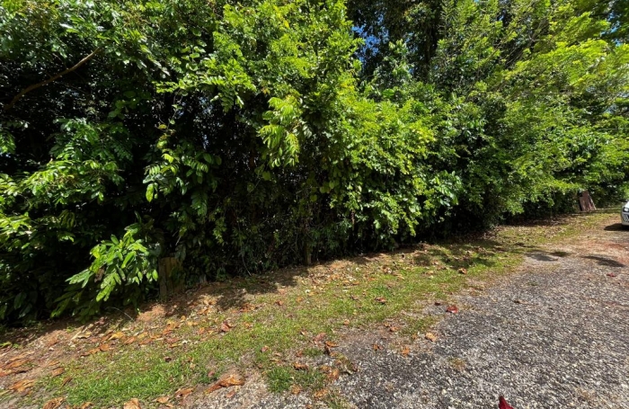 Vente Terrain 1000m&sup2; Cayenne