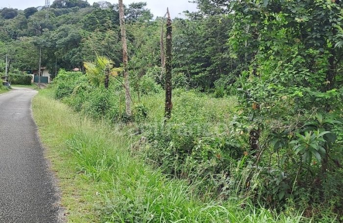 Vente Terrain 3444m&sup2; Matoury