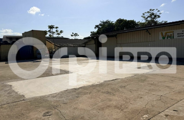 Location Local d&rsquo;activit&eacute; 