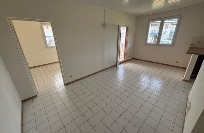 Location Appartement 97354