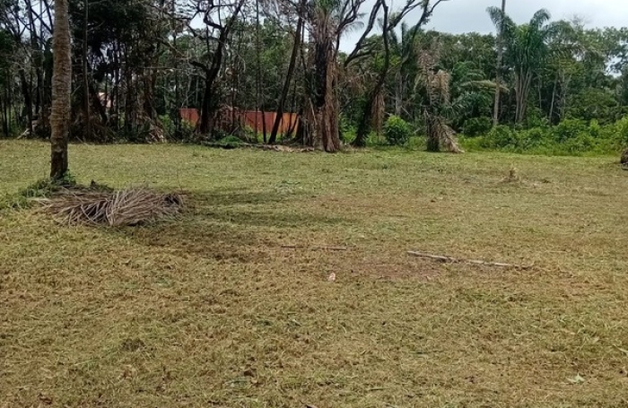 Vente Terrain 3000m&sup2; Macouria Tonate