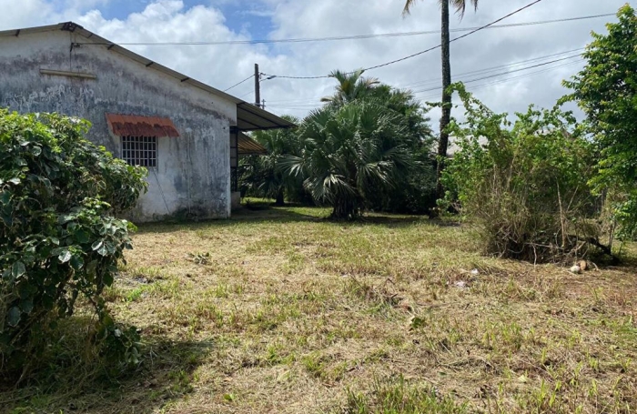 Vente Maison 97300