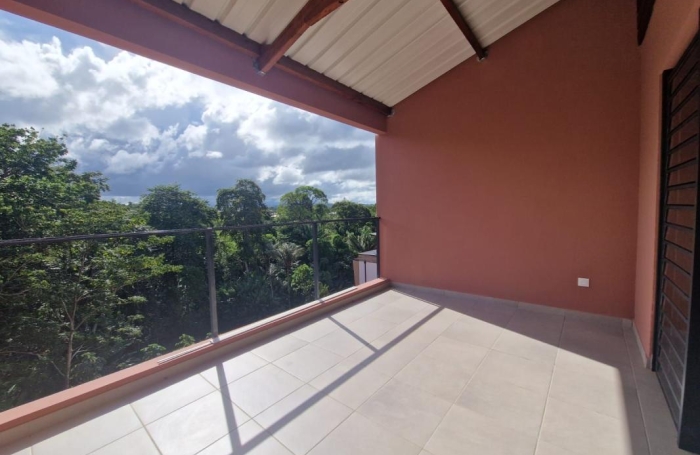 Location Appartement 97354