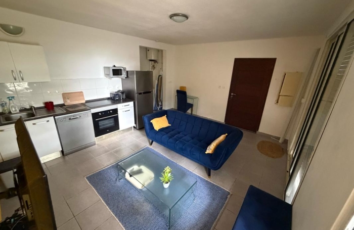 Location Appartement 97354