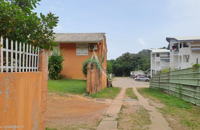 Vente Immeuble 365m&sup2; 14 pi&egrave;ces Cayenne
