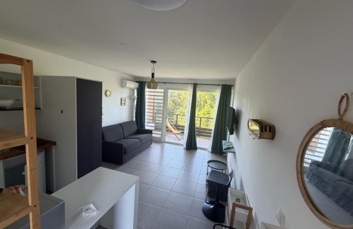 Location Appartement 97300