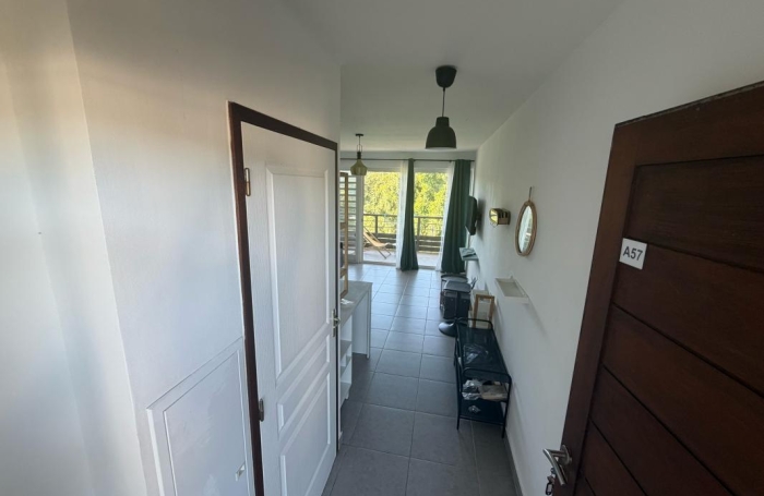 Location Appartement 23.42m&sup2; 1 pièce Cayenne
