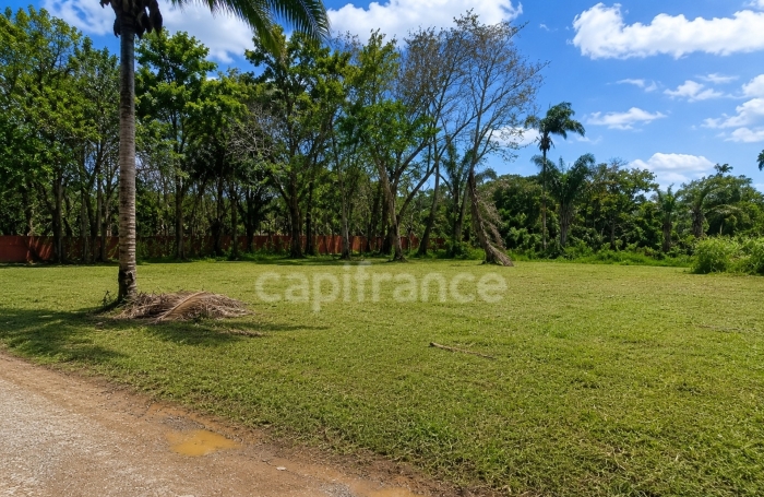 Vente Terrain 97355