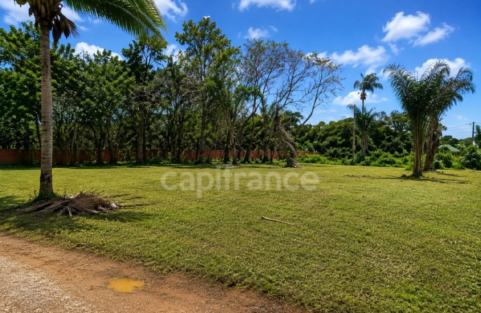 Vente Terrain 97355