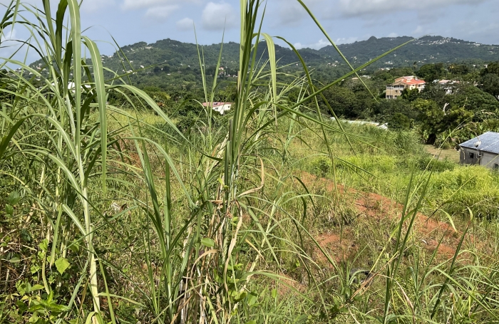 Terrain à bâtir de 473.38 m2