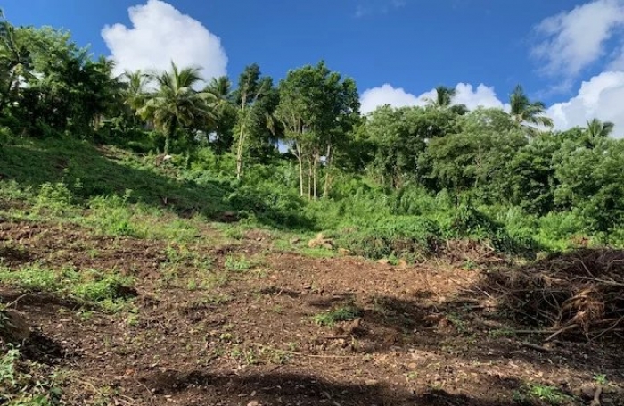 Vente Terrain 4210m&sup2; Rivière Salée