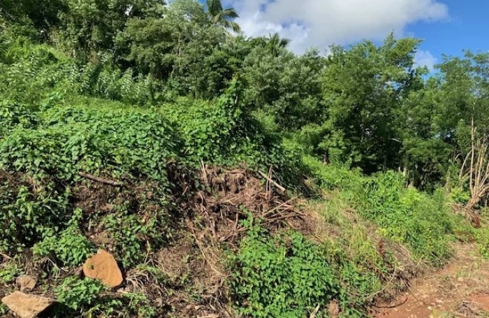 Vente Terrain 4210m&sup2; Rivière Salée