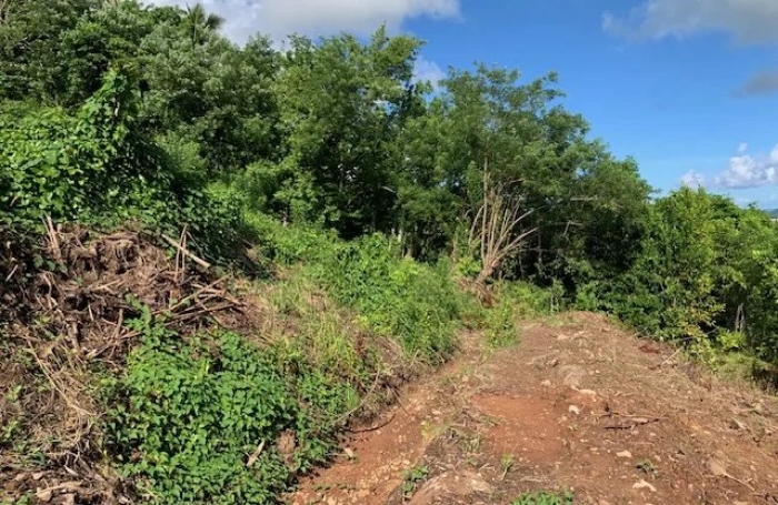 Vente Terrain 4210m&sup2; Rivière Salée