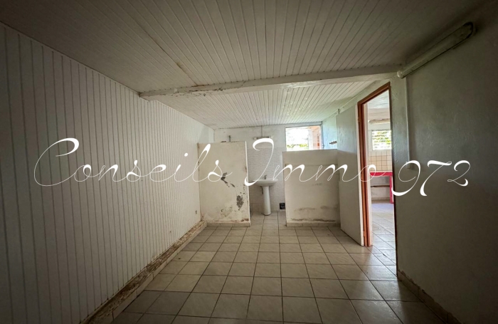 Vente Immeuble de Rapport à Rivière-Pilote, Martinique - Opportunité d'Investissement Immobilier