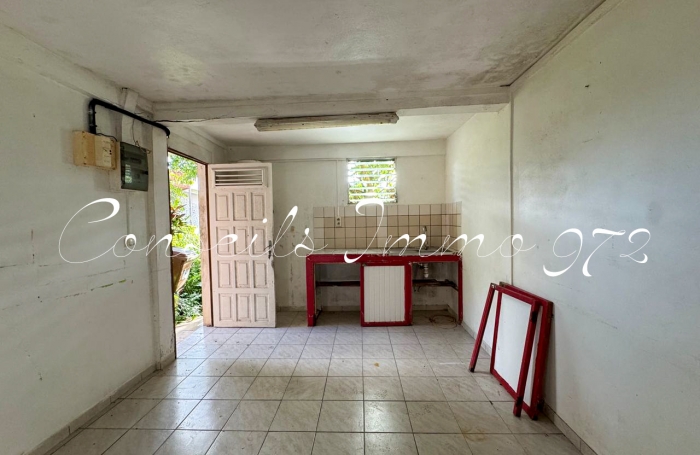 Vente Immeuble de Rapport à Rivière-Pilote, Martinique - Opportunité d'Investissement Immobilier