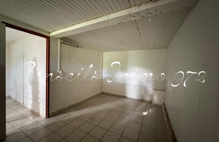 Vente Immeuble de Rapport à Rivière-Pilote, Martinique - Opportunité d'Investissement Immobilier