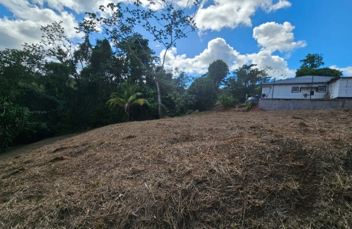 Terrain proche bourg - SAINT-ESPRIT