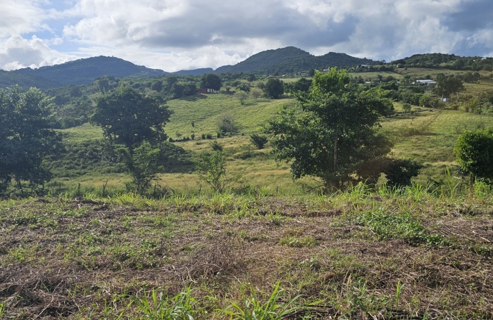 TERRAIN A BATIR DANS LOTISSEMENT