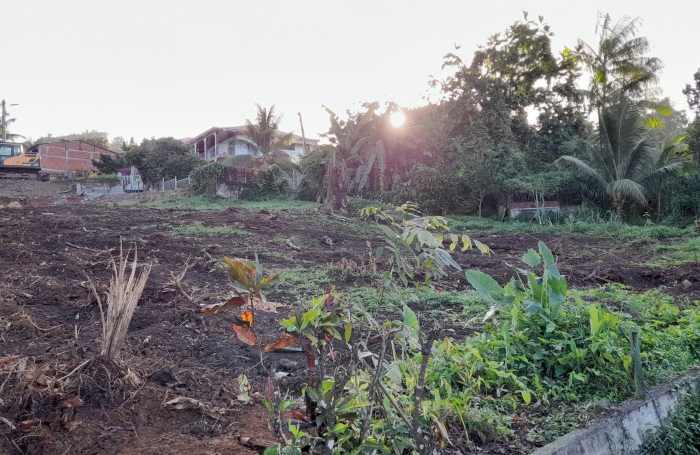 TERRAIN A BATIR A RIVIERE SALEE