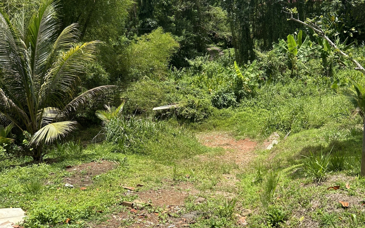 Sainte Luce - Terrain de 2906 m2 avec vue mer - 335 000 €