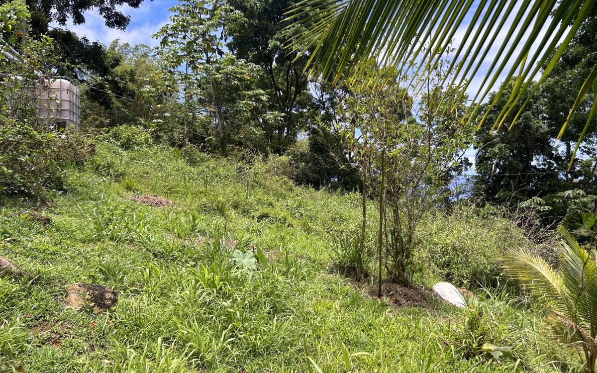 Sainte Luce - Terrain de 2906 m2 avec vue mer - 335 000 €