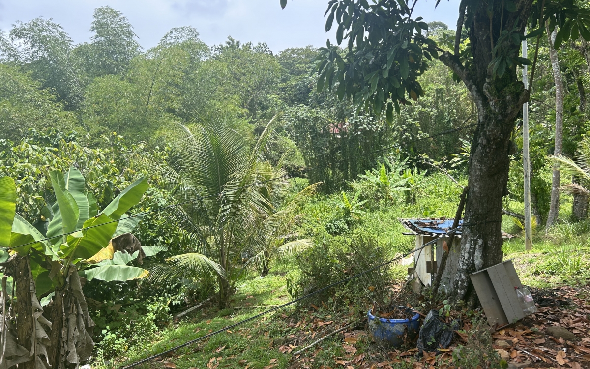 Sainte Luce - Terrain de 2906 m2 avec vue mer - 335 000 €