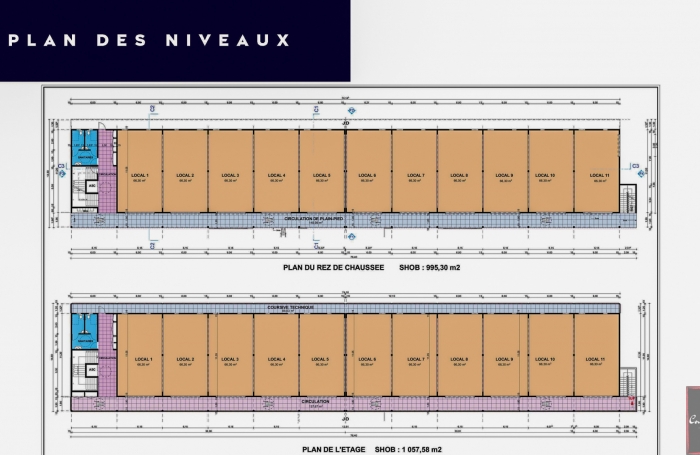 À Vendre : Derniers Locaux Commerciaux aux Anses d'Arlet